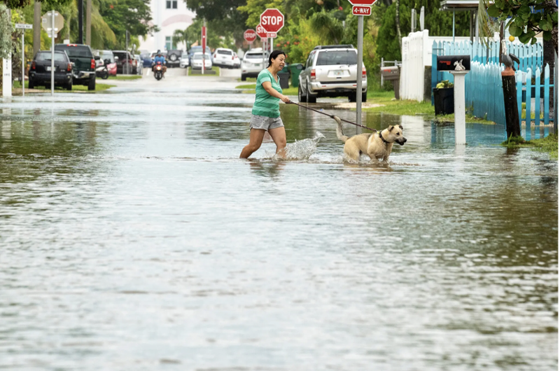 Congressman Gimenez joins Entire Florida Delegation in Urging President to Approve Assistance for All 67 Counties